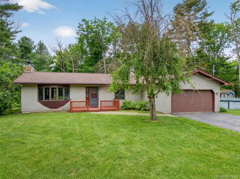 157 Old Forestburg Road Sparrowbush NY 12780