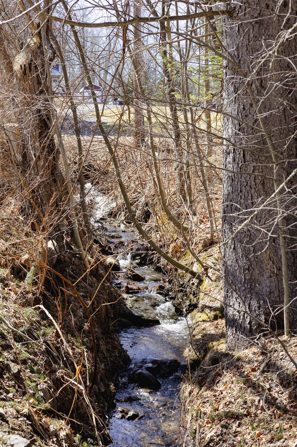 39 Dubois Street, Livingston Manor, New York image 2