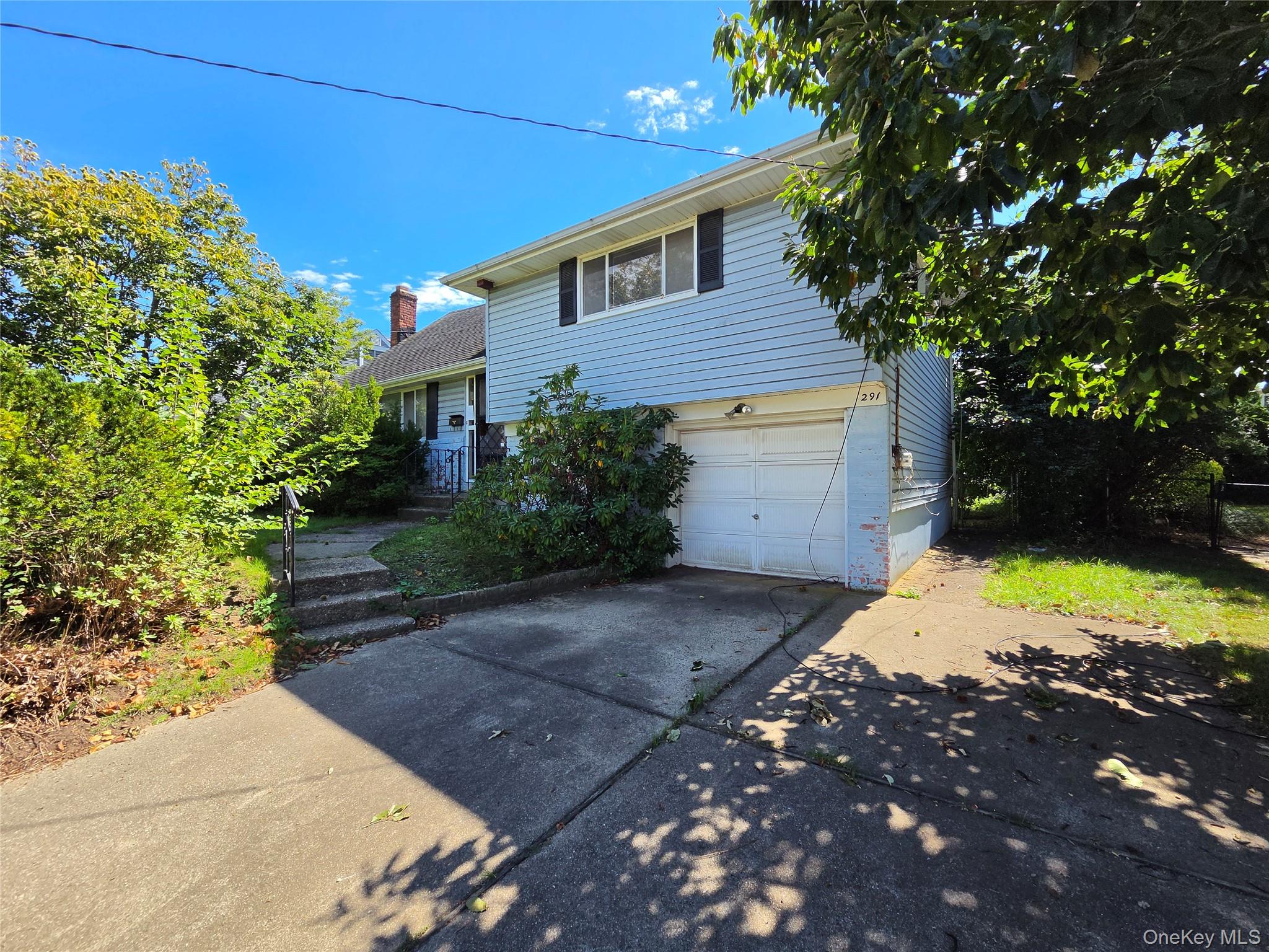 291 Concord Avenue