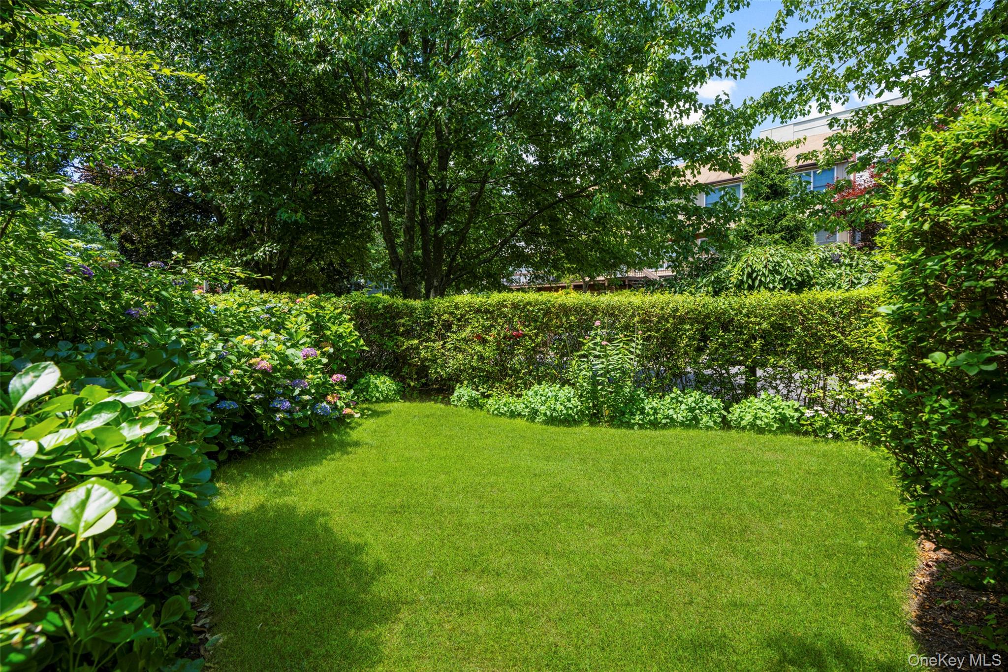 398 Cortlandt Avenue 8