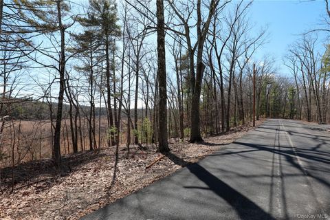 176 Lake Road Lake Katrine NY 12449