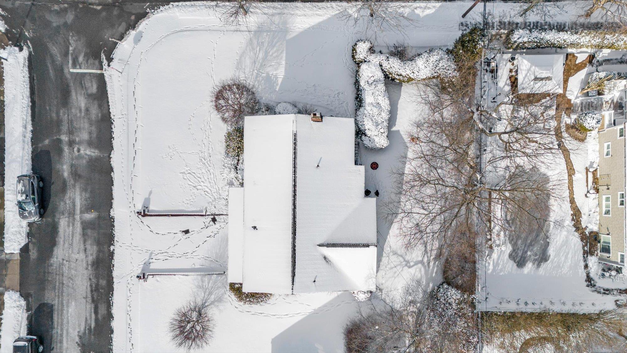 16 Otsego Place, Jericho, New York image 4