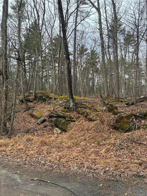 Vacant Land For Sale - Rambling Road<br/> Sullivan County, Wurtsboro, NY 12790