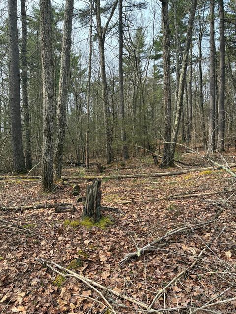 Vacant Land For Sale - Rambling Road<br/> Wurtsboro, NY 12790