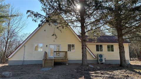 Homes For Sale - 107 Pinewood Road<br/> Sullivan County, Cochecton, NY 12726