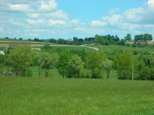 Skunks Misery Road, Millerton, New York image 7