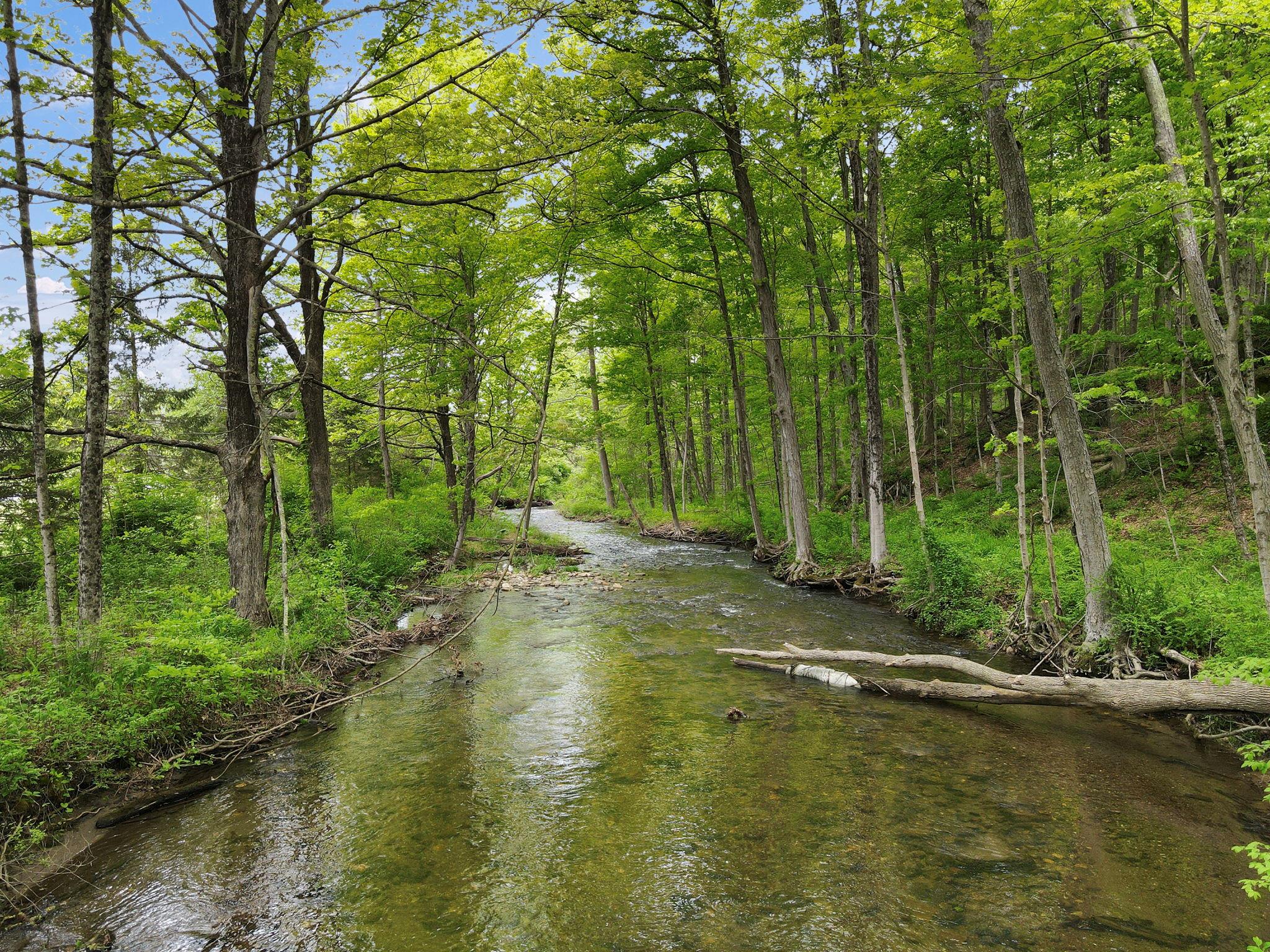 6843 Route 55, Wingdale, New York image 30