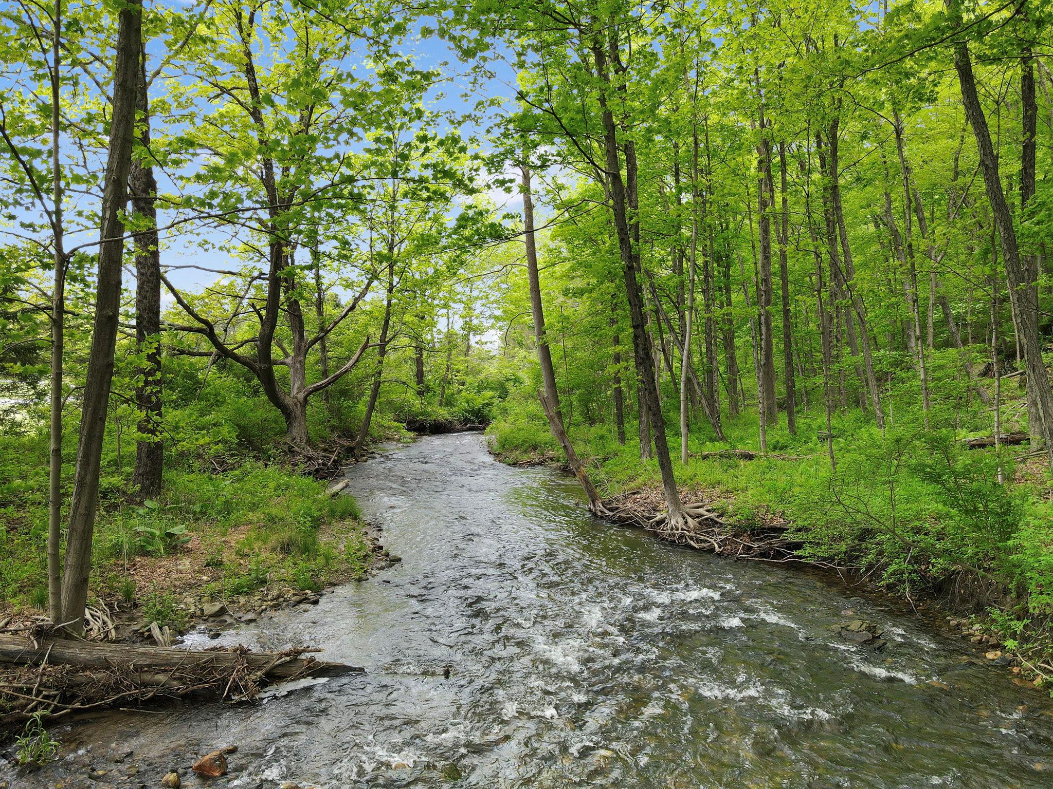 6843 Route 55, Wingdale, New York image 2