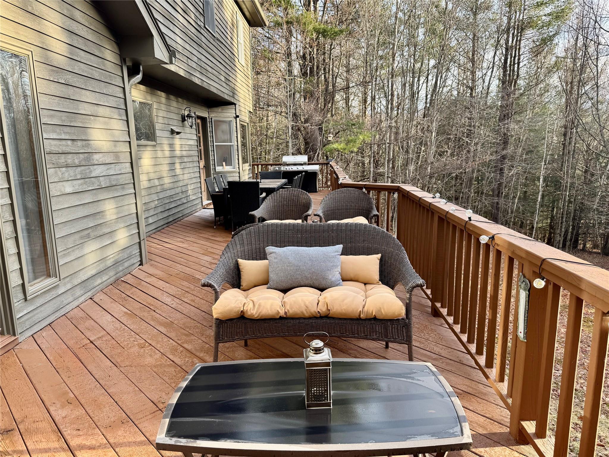 61 Mount View Estates Road, Ashland, New York image 23