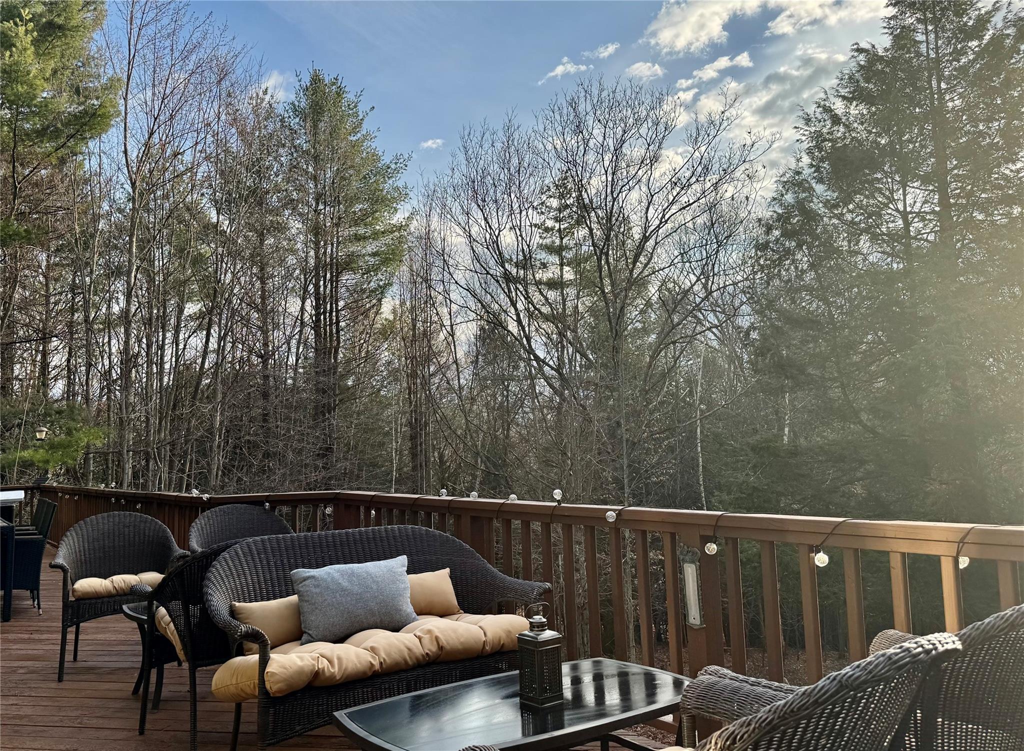 61 Mount View Estates Road, Ashland, New York image 24