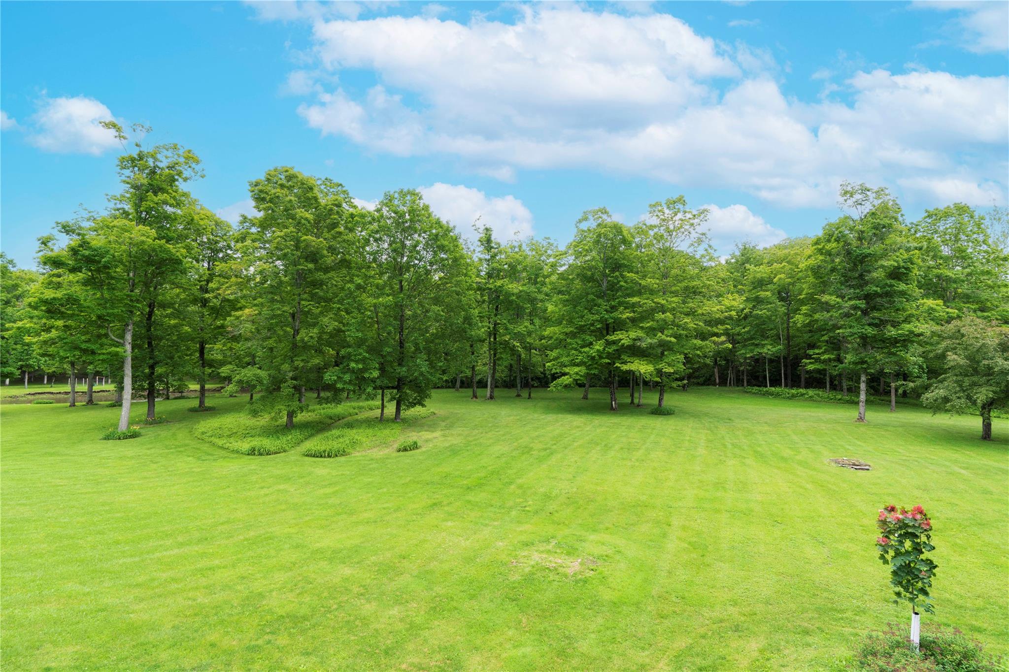 10 May Knoll, Dover Plains, New York image 41