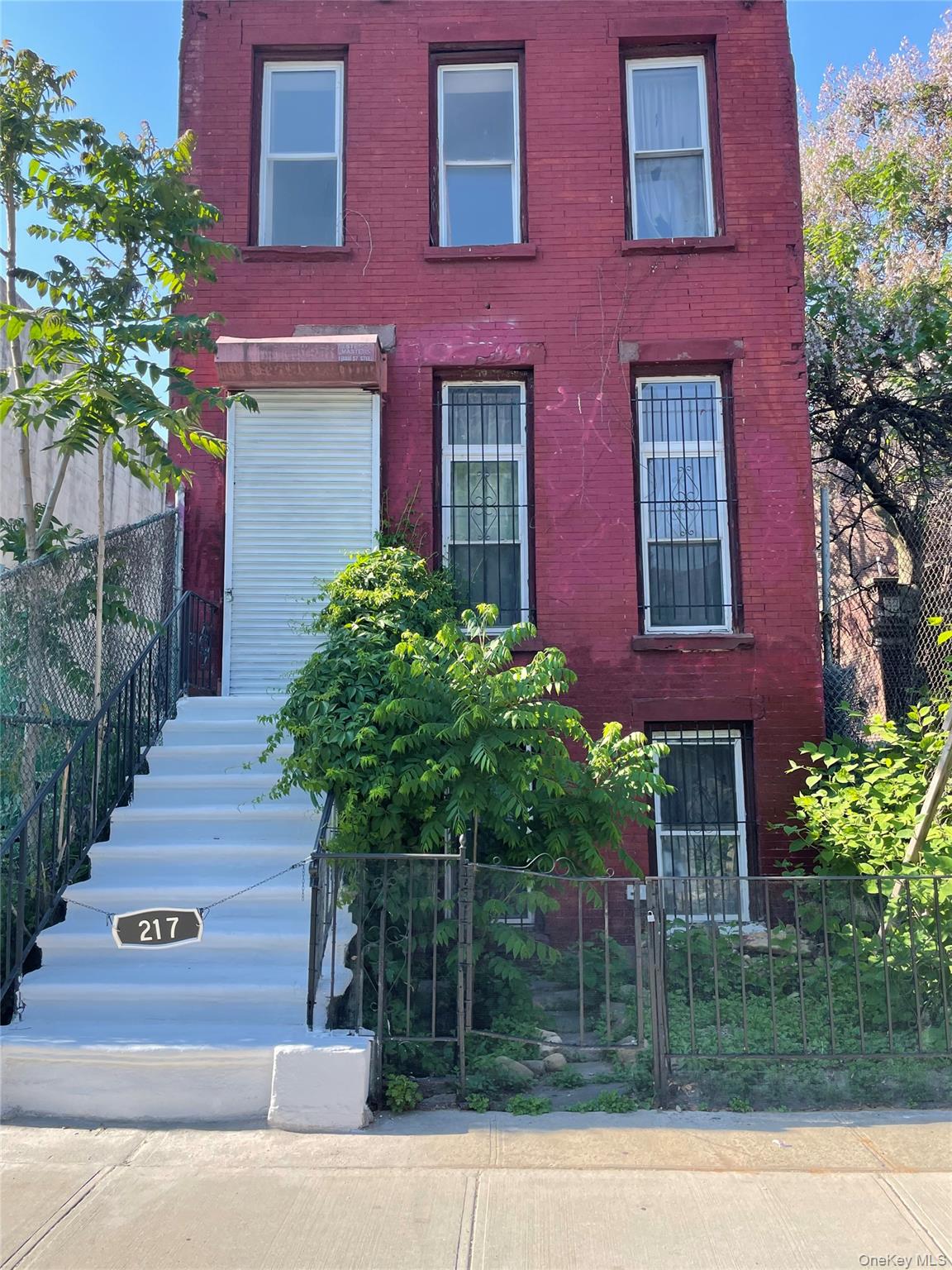 217 Kosciuszko Street 2