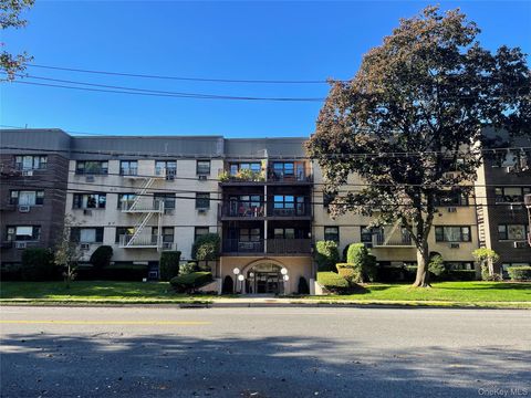 2261 Palmer Avenue 1F New Rochelle NY 10801