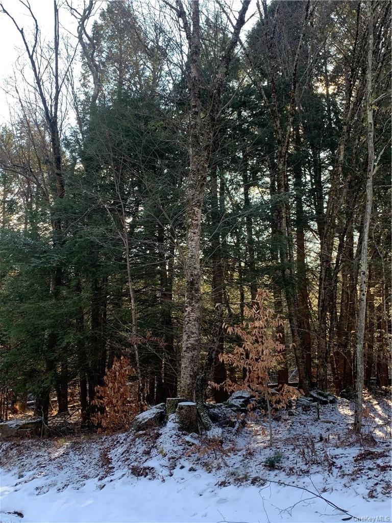 Friedman Road