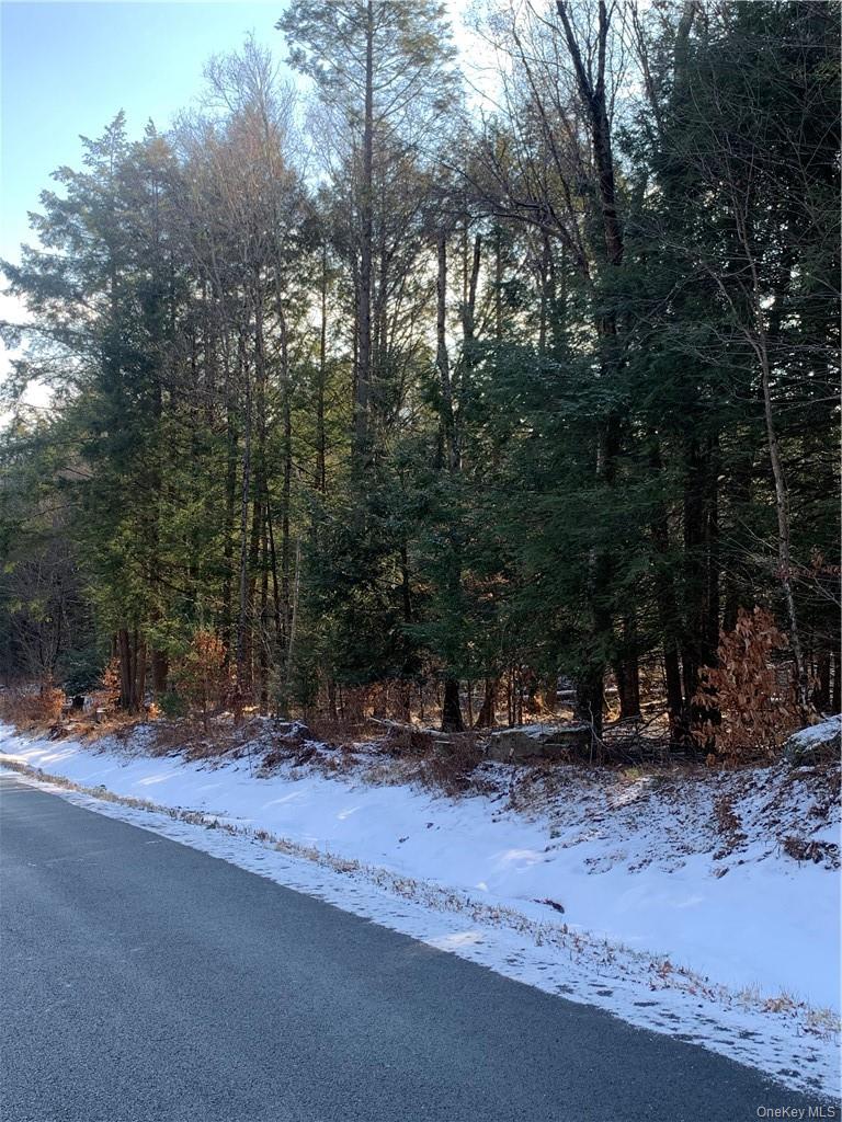 Friedman Road