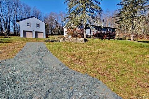 491 Hurd Road Swan Lake NY 12783
