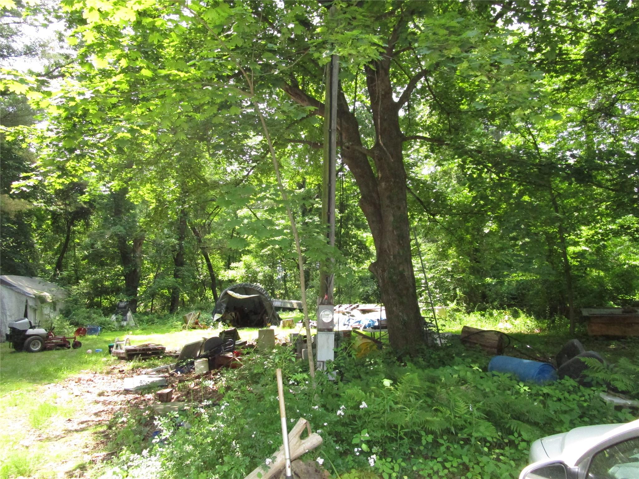 20 Pine Road, Elizaville, New York image 4