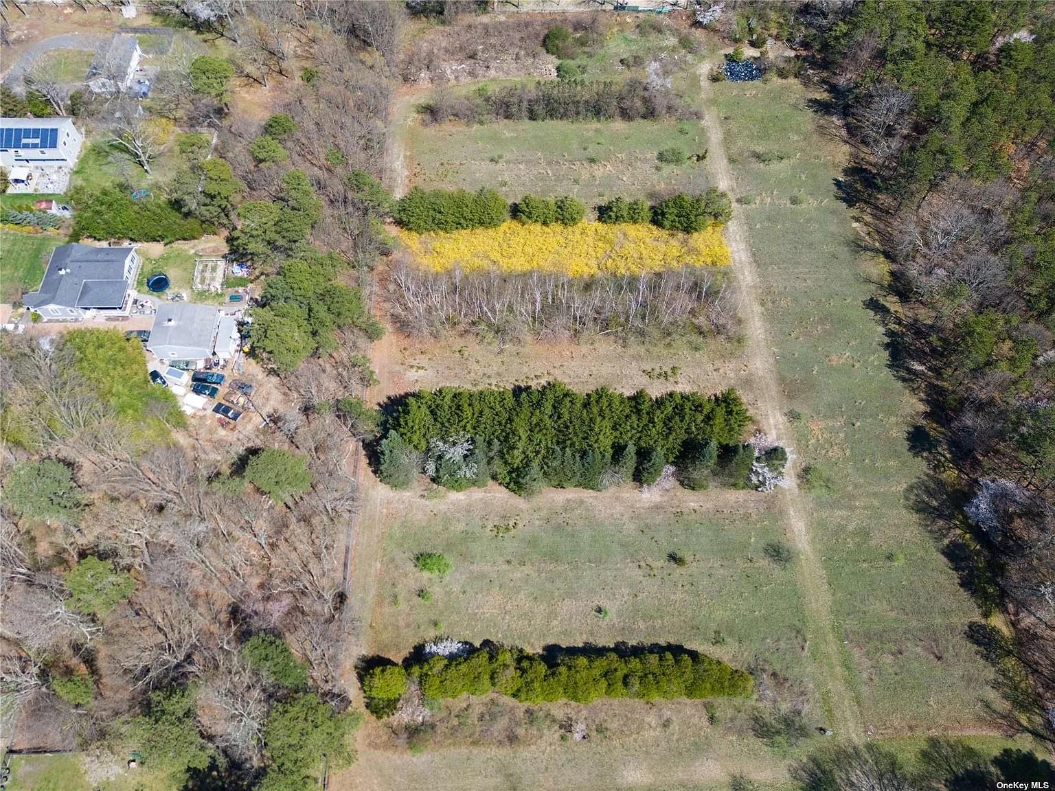 Cedarhurst Ave, Medford, New York image 4