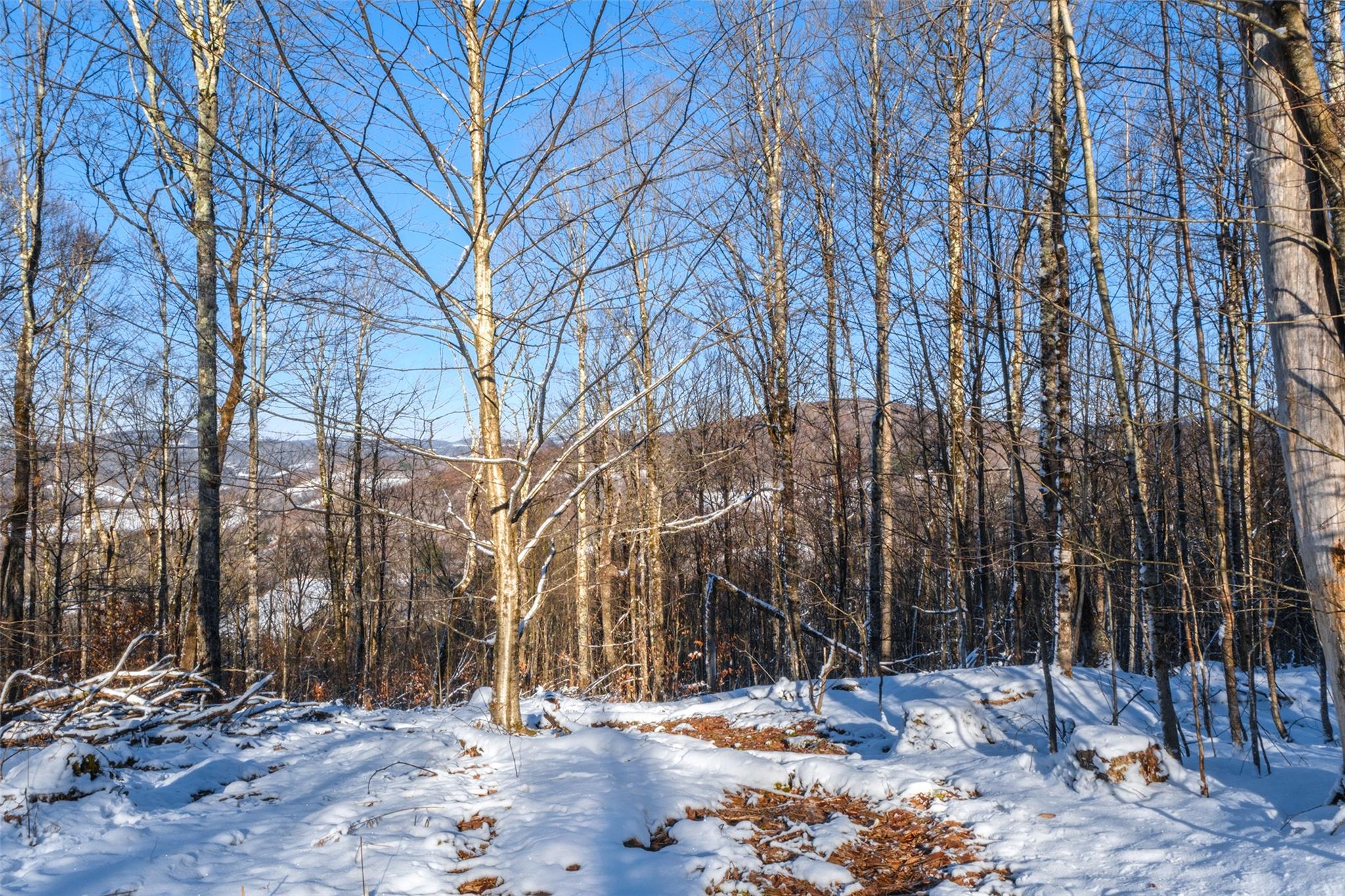 State Route 28, Andes, New York image 30