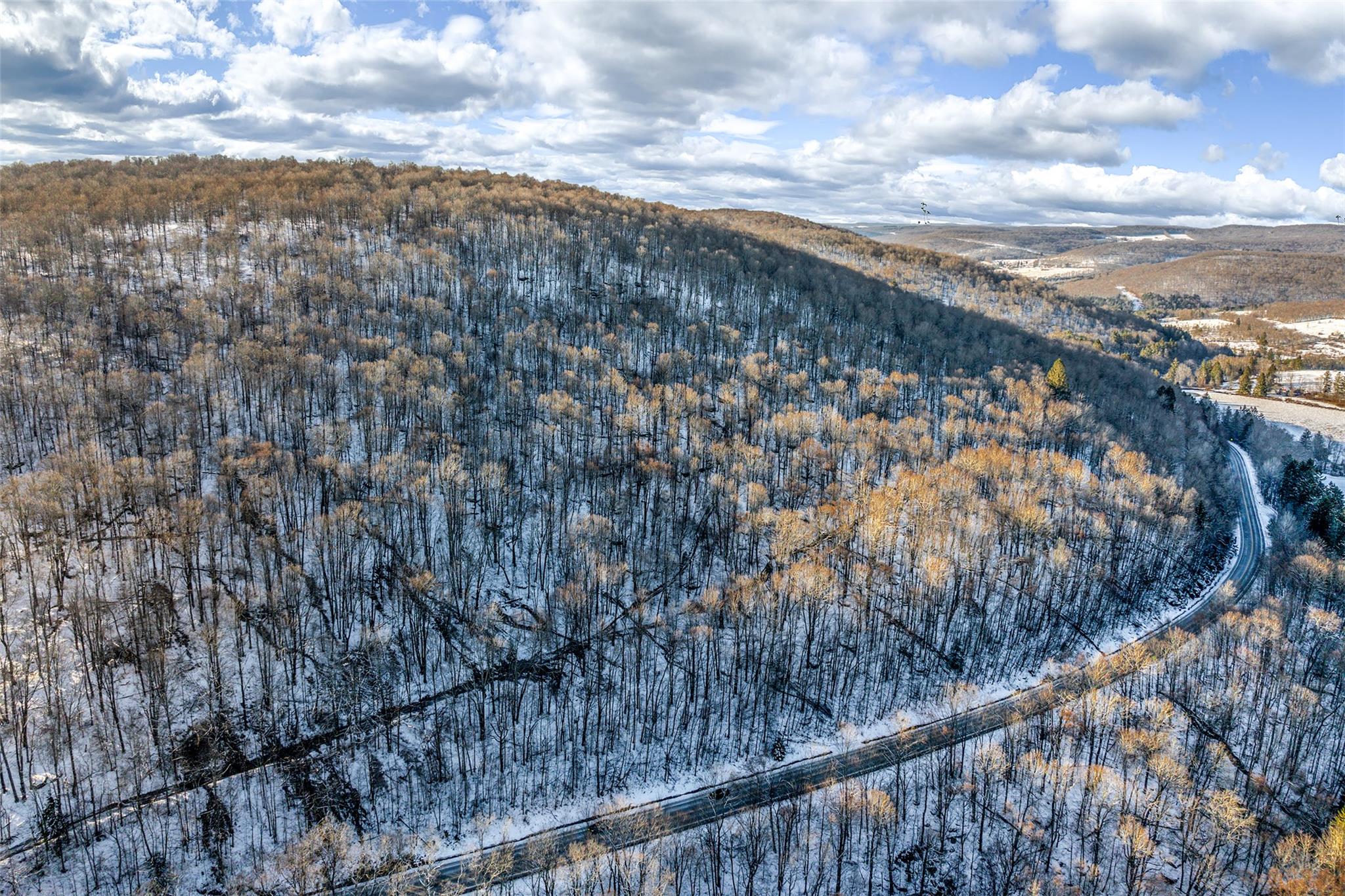 State Route 28, Andes, New York image 3