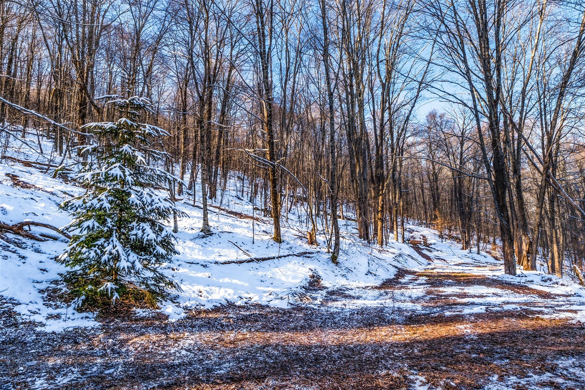 State Route 28, Andes, New York image 9