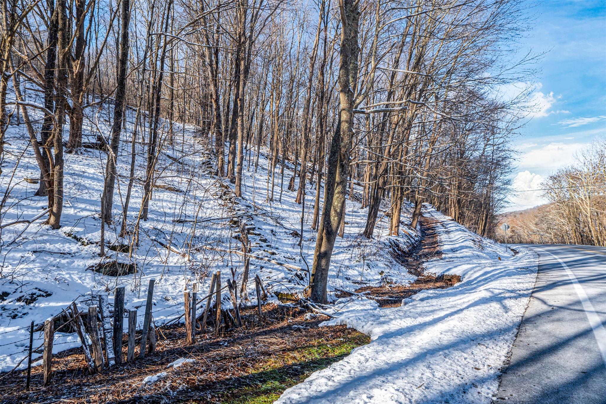 State Route 28, Andes, New York image 4