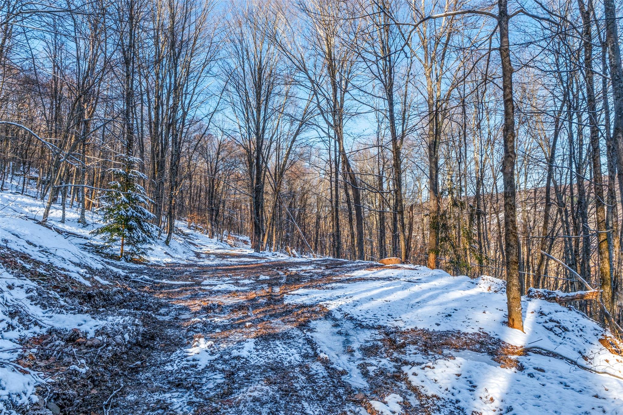 State Route 28, Andes, New York image 7