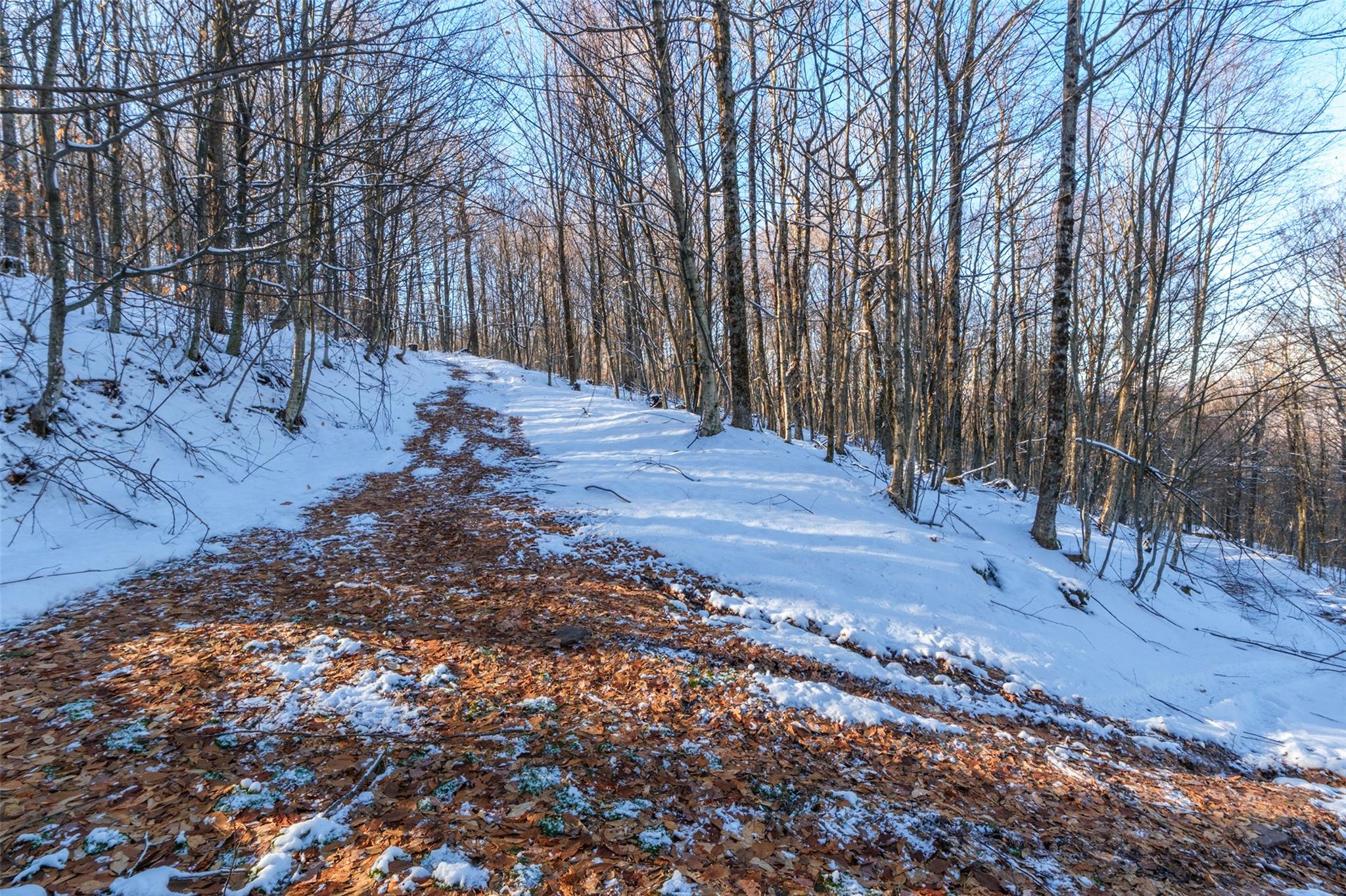 State Route 28, Andes, New York image 21