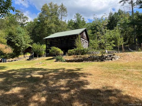 126 Yulan-Barryville Road Barryville NY 12719