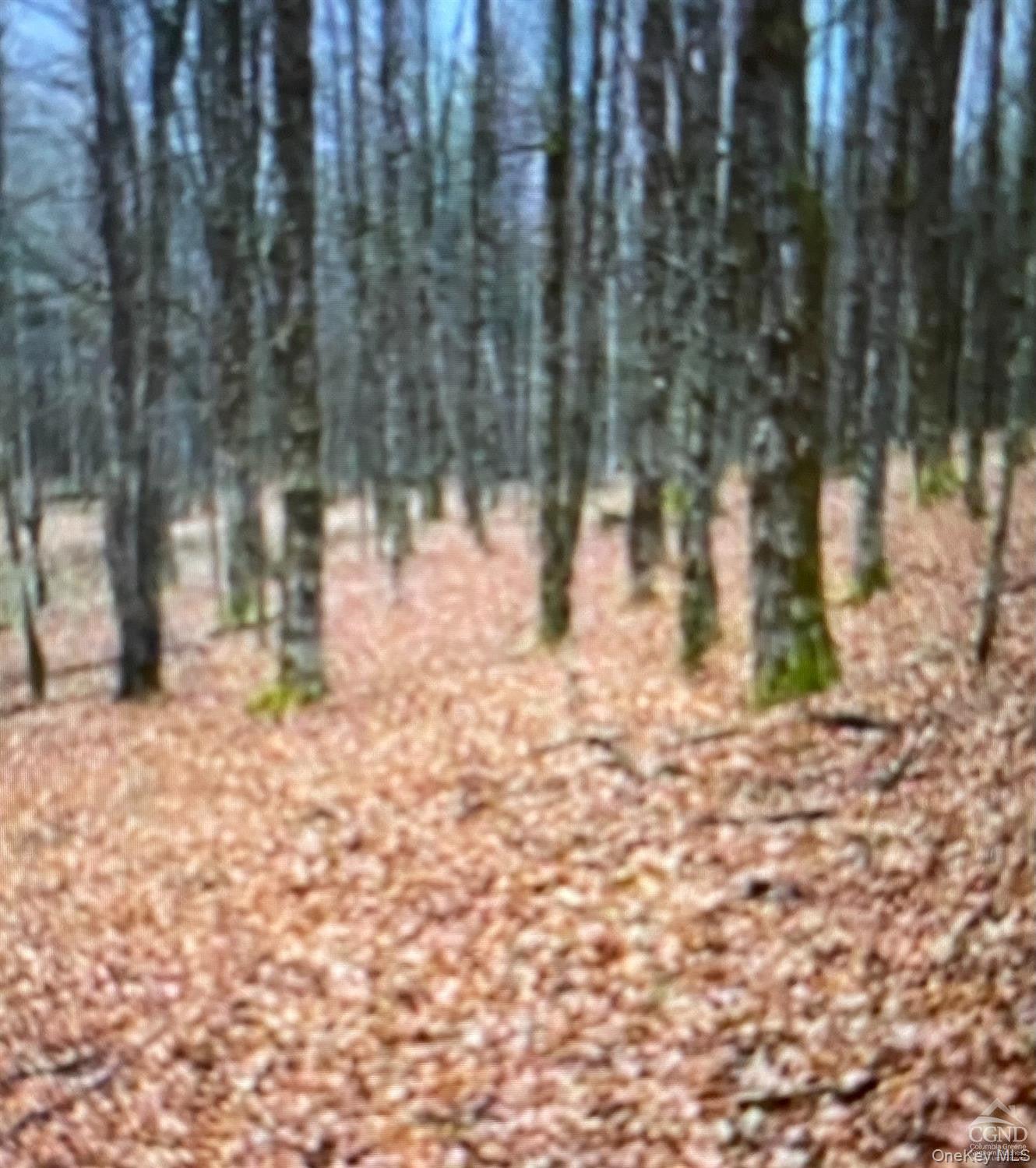 0 County Route 312 Road