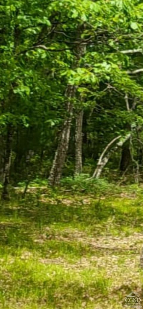 0 County Route 312 Road Colonie NY 12045