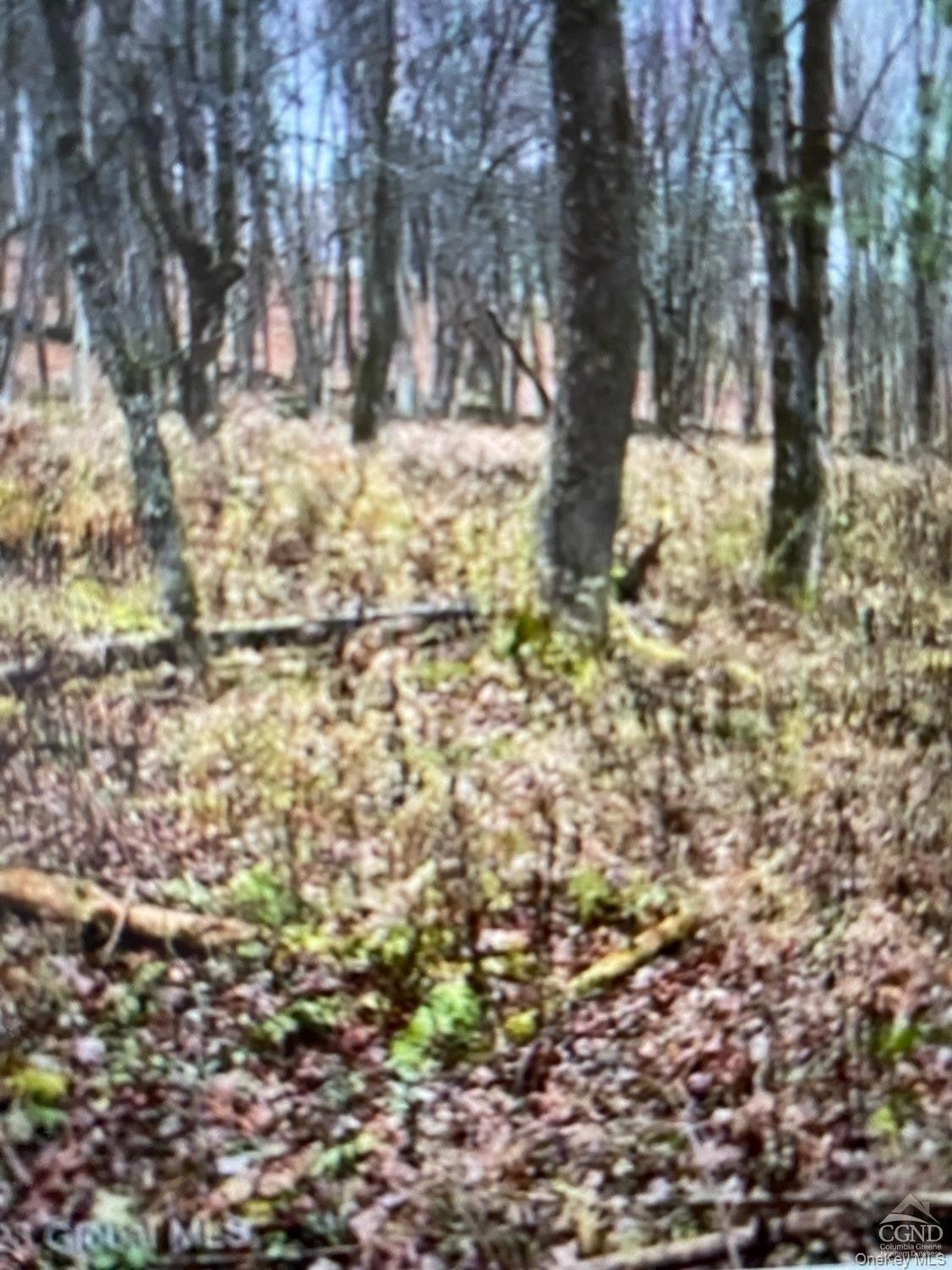 0 County Route 312 Road