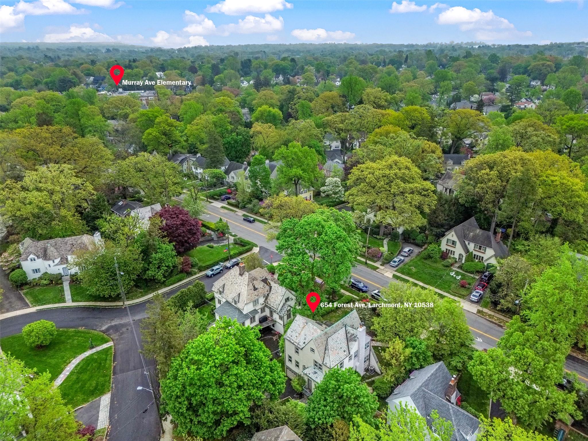 654 Forest Avenue, Larchmont, New York image 46