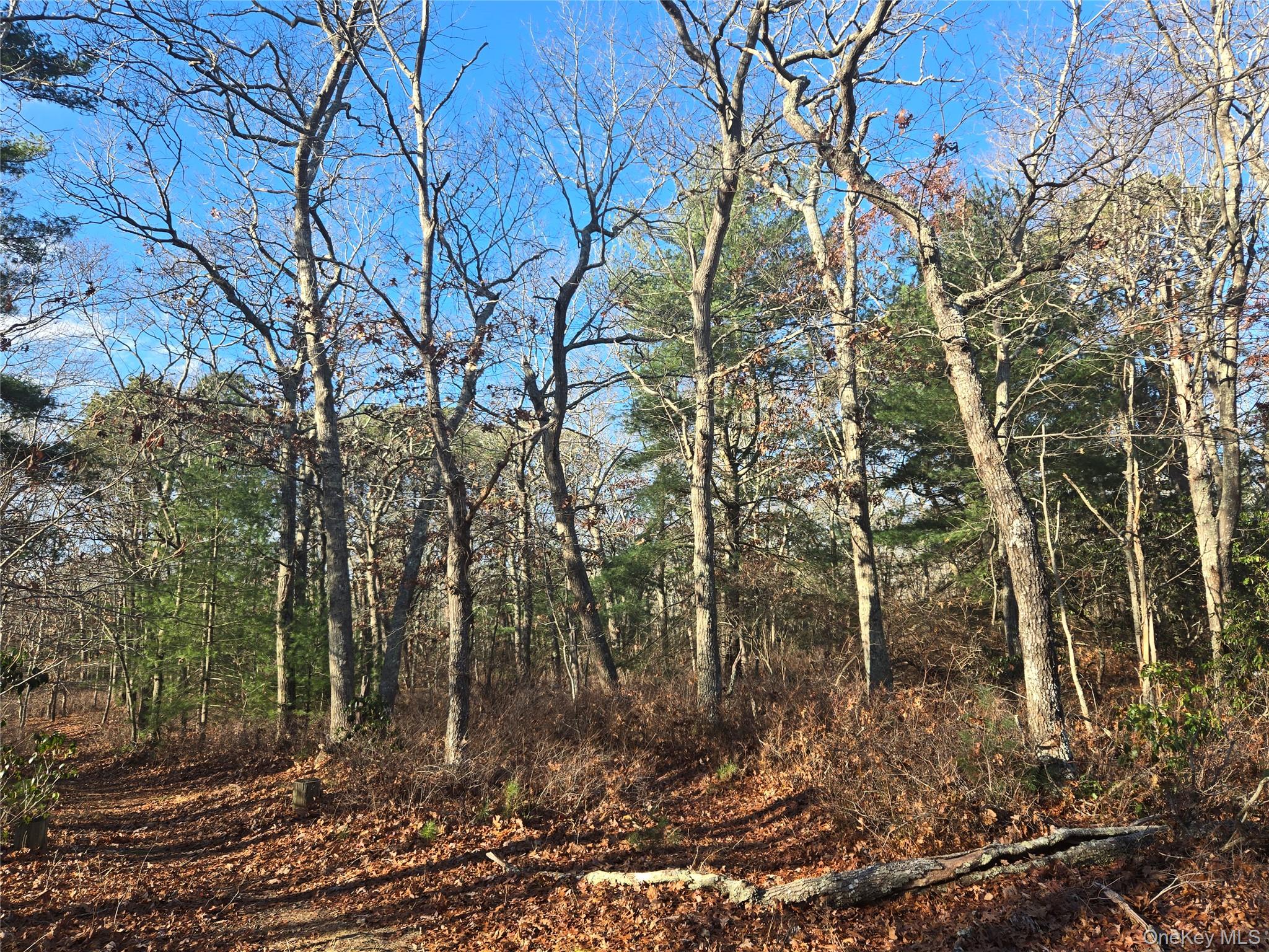 68 Big Fresh Pond Road