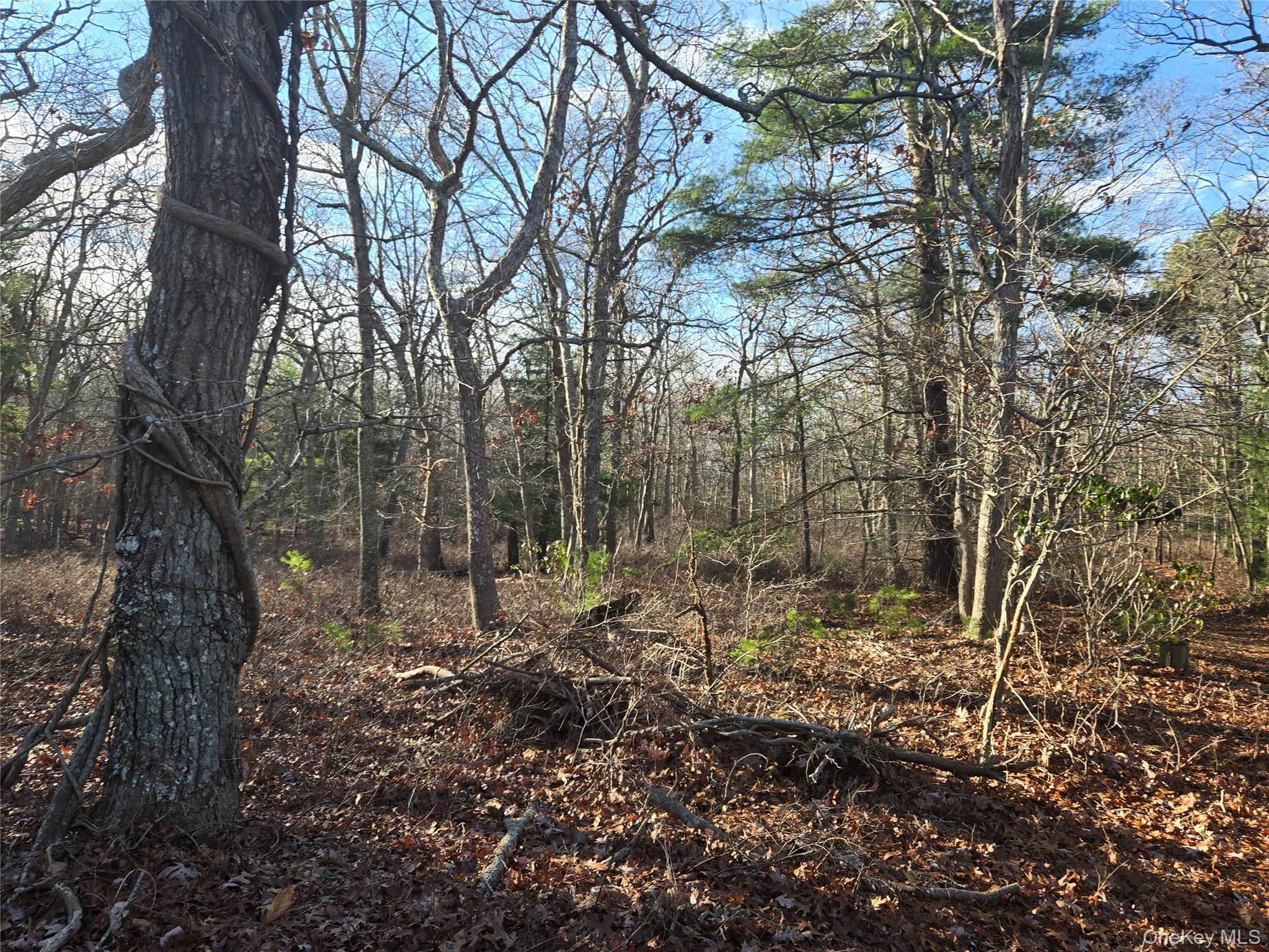 68 Big Fresh Pond Road