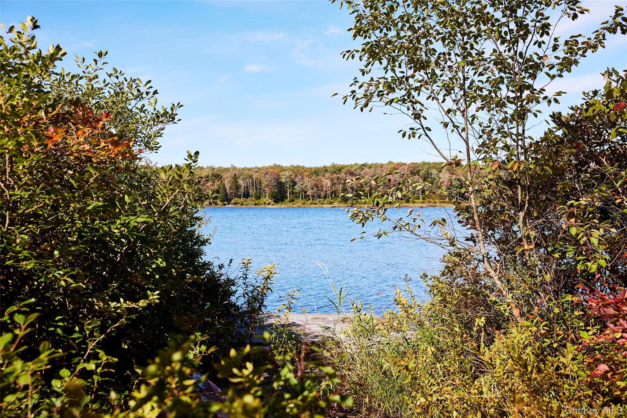 452 White Roe Lake Road