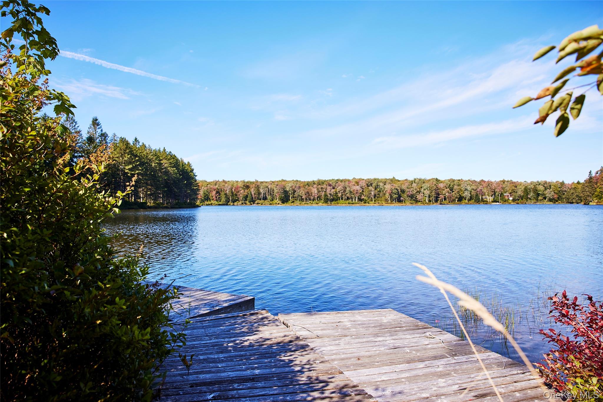 452 White Roe Lake Road