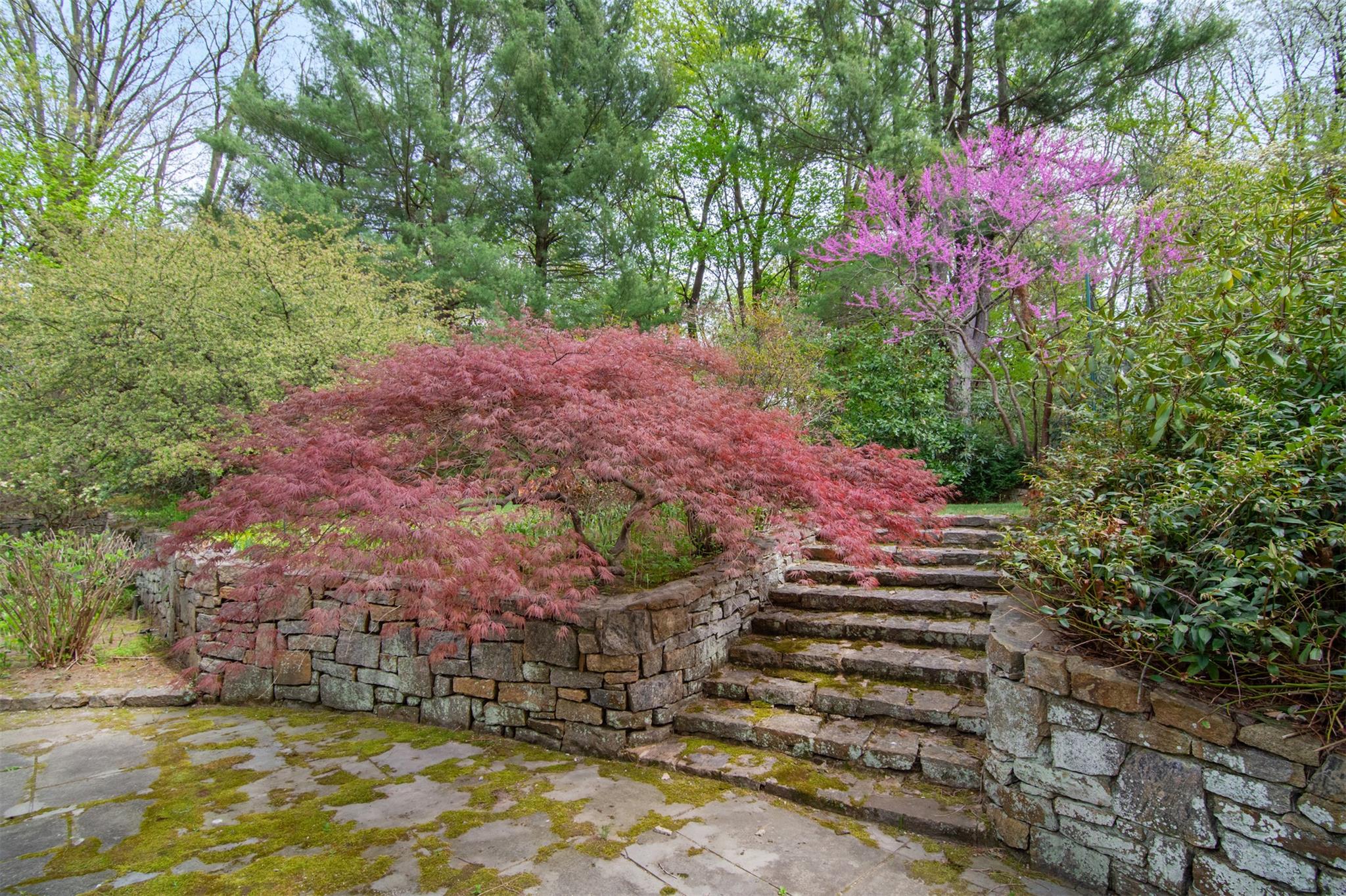 164 Washington Avenue, Dobbs Ferry, New York image 47