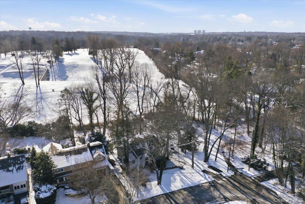 Photo of 11 Muriel Road, Port Washington, NY 11050 (MLS # 951436)