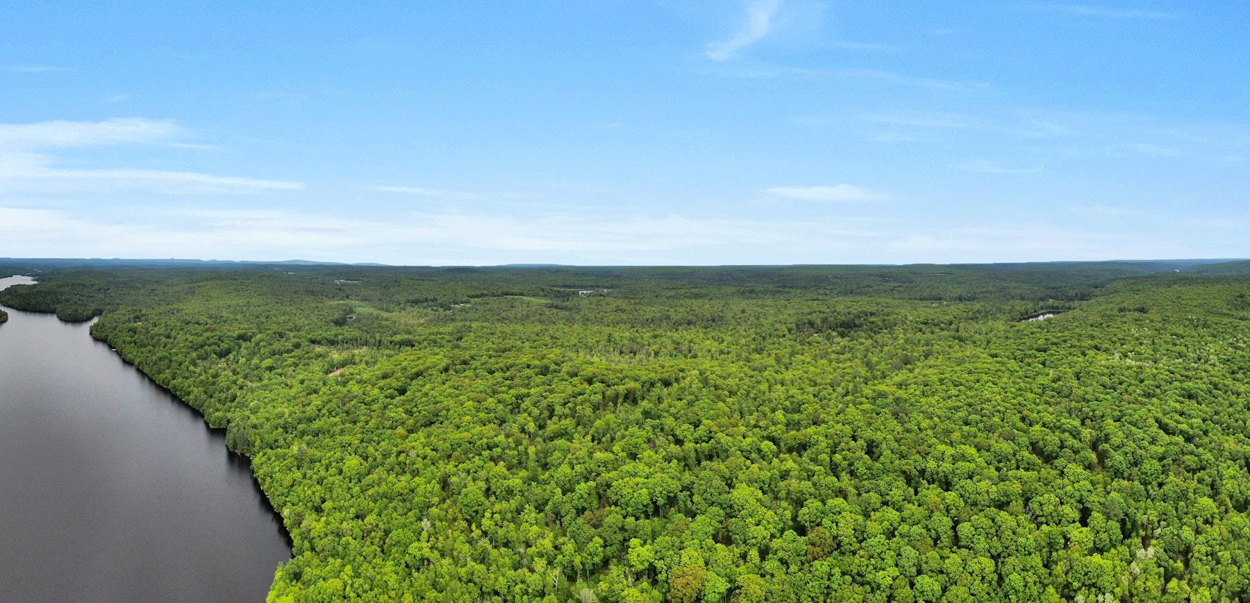 TBD Plank Rd, Forestburgh, New York image 9