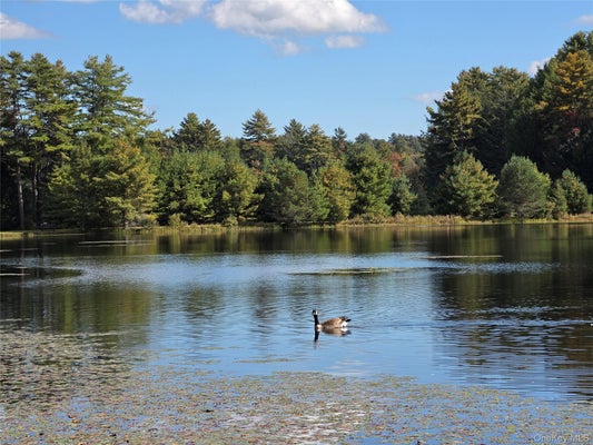 LOT 11 DEER MEADOW ROAD, WHITE LAKE, NY 12786 - Image 057eab47d88b68e4eb6e8ba7d8f9fbbb/4027197926