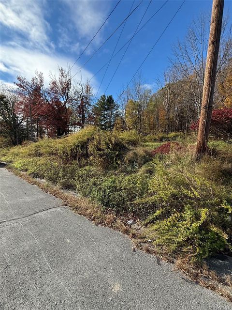 2714 State Route 52 Liberty NY 12754