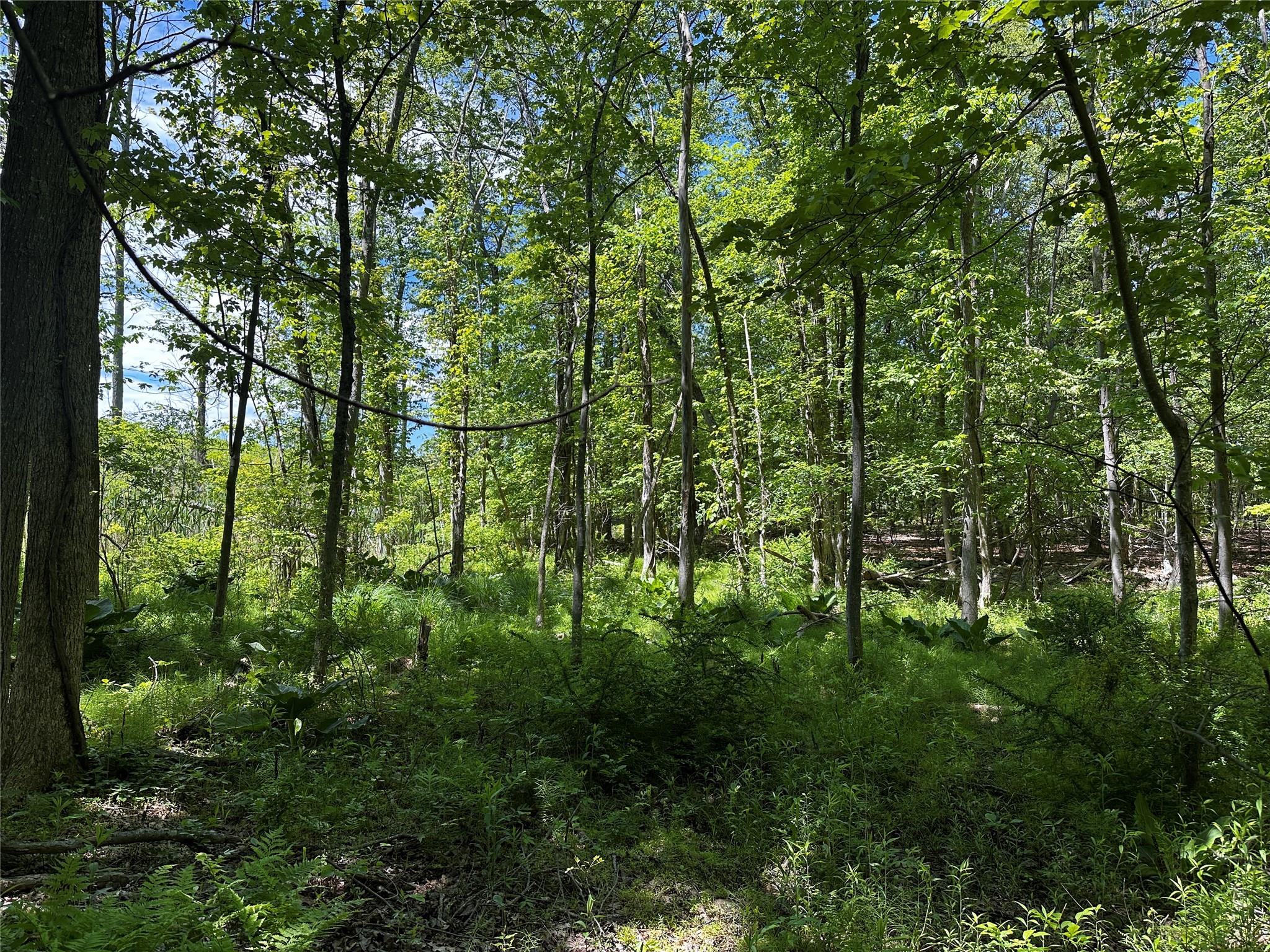 Rye Hill Road, Monroe, New York image 3
