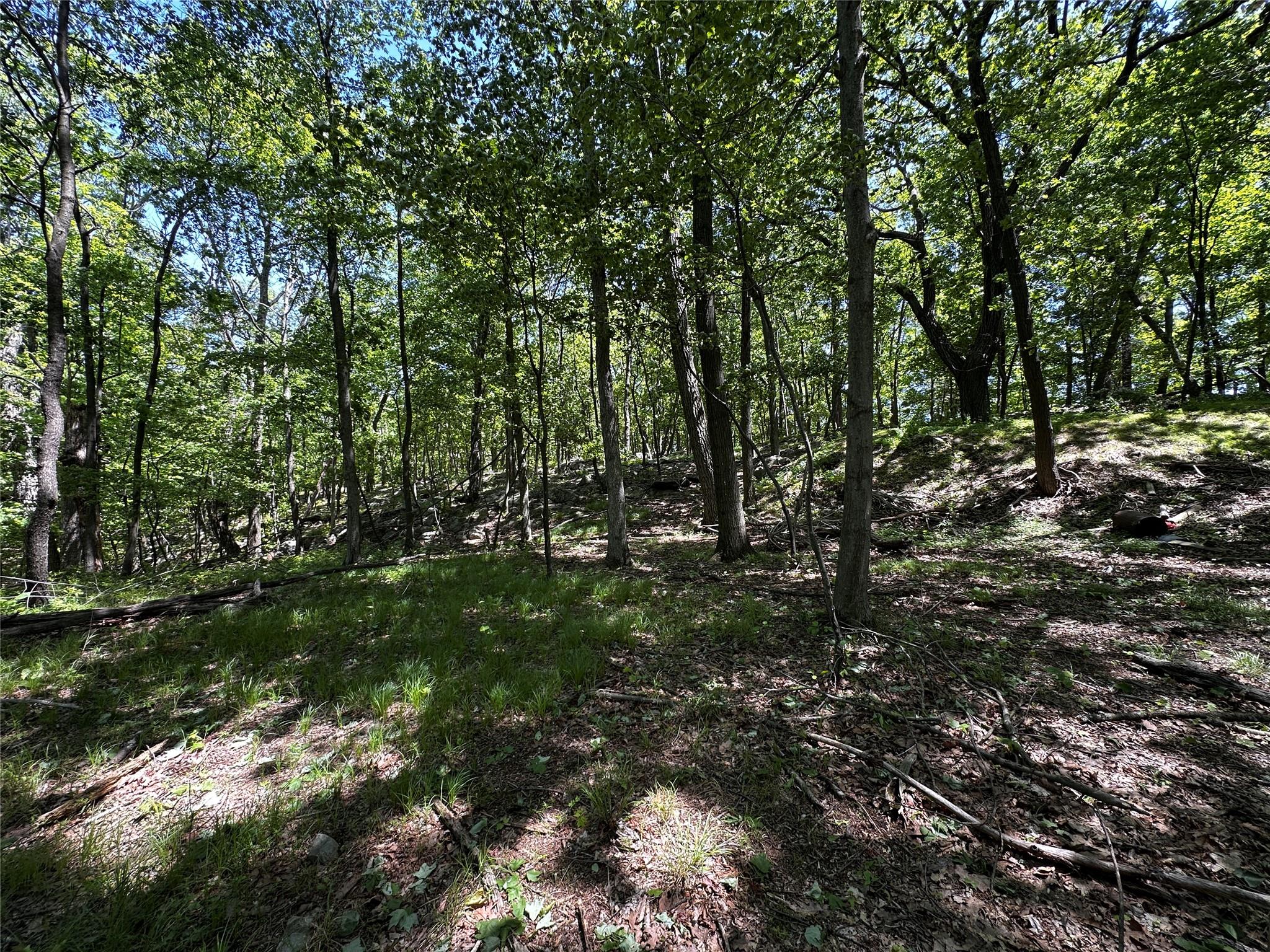 Rye Hill Road, Monroe, New York image 5