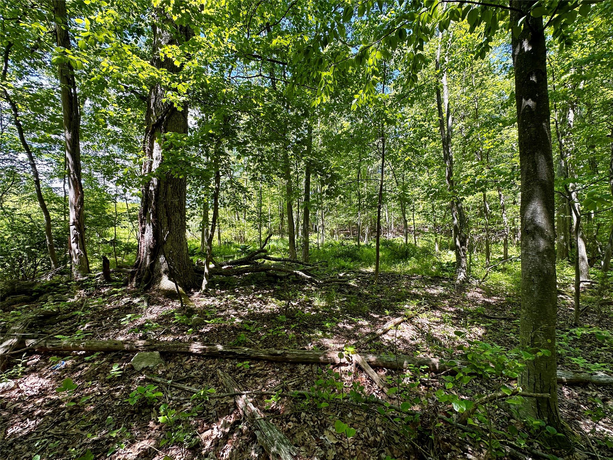 Rye Hill Road, Monroe, New York image 2