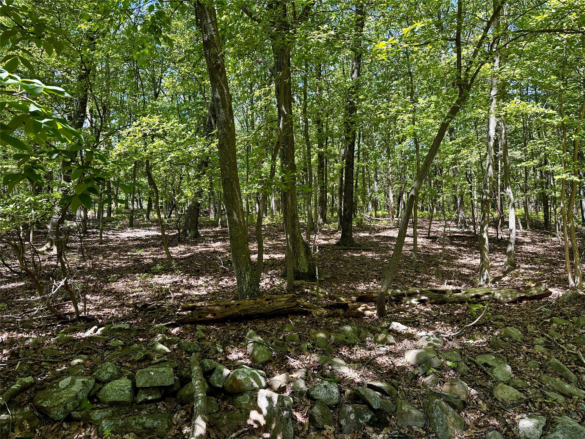 Rye Hill Road, Monroe, New York image 4