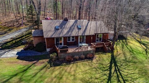 19 Arrowhead Lane Narrowsburg NY 12764