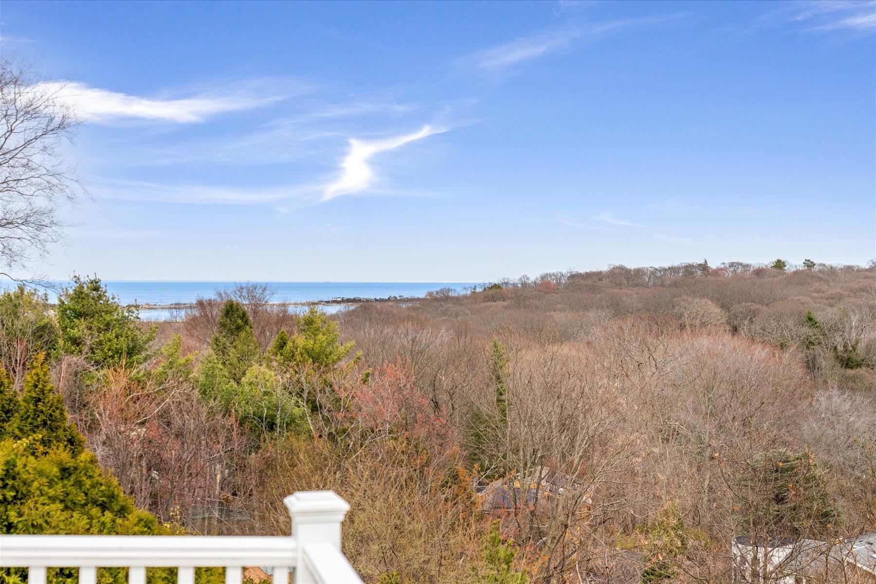 110 Nadia Court, Port Jefferson, New York image 38