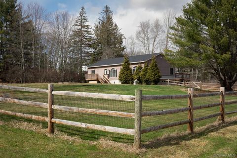 19 Tomel Road Cochecton NY 12726