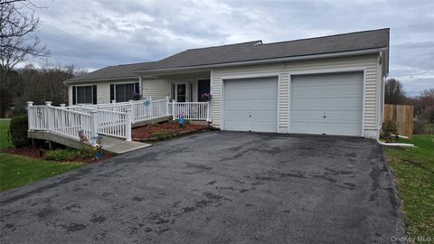 5 Meadows Court Staatsburg NY 12580
